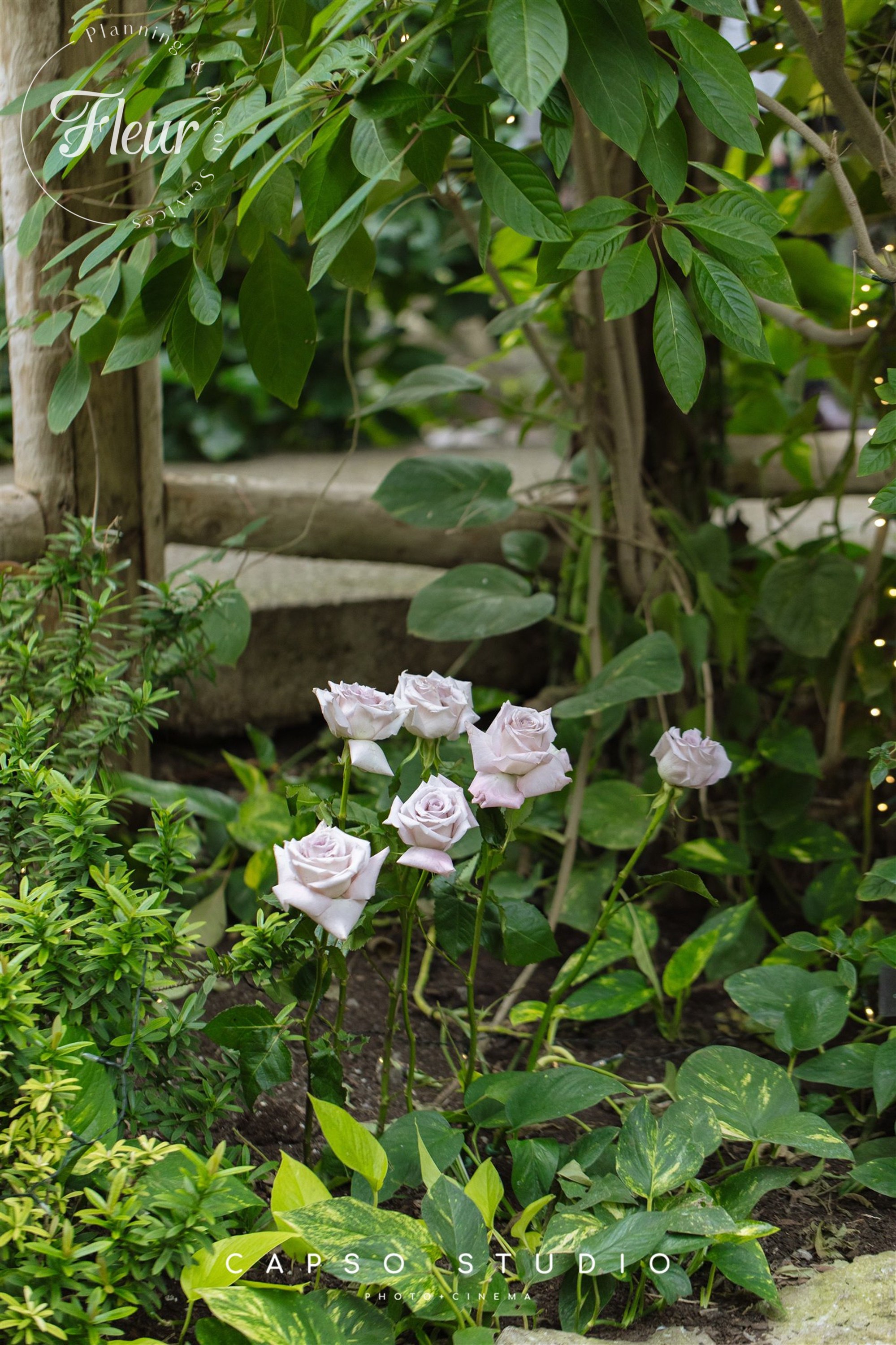 fleurweddings_cambridgebutterflyconservatory_wendyjeff19